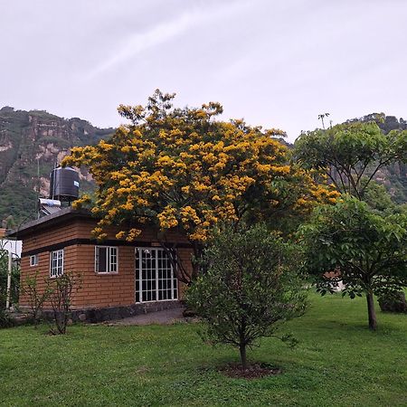 Posada Meztitla Тепоцтлан Екстериор снимка